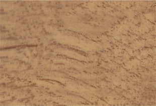 Плинтус Vox 559